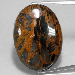 Pietersite Multicolore naturelle Coupe ovale, 38.54 ct, Opaque