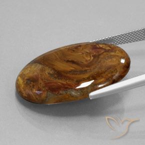 Pietersite Brun moyen naturelle ovale, 25.45 ct, Opaque
