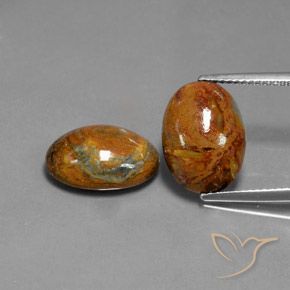 9.11ctw Naturel Multicolore Pietersite, ovale, Opaque