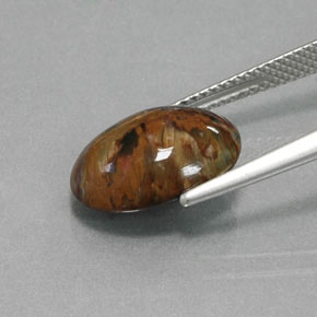 Piétersite multicolore naturelle coupe ovale, 4,18 ct, opaque