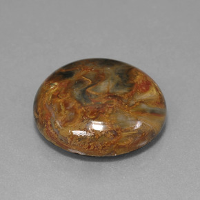 Piétersite multicolore naturelle coupe roude, 13,41 ct, opaque