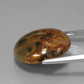 Piétersite multicolore naturelle coupe roude, 13,41 ct, opaque