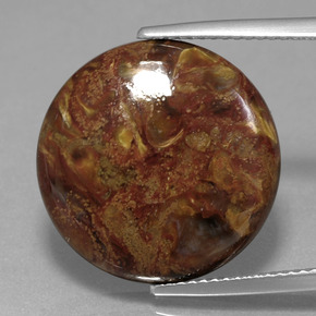 Piétersite multicolore naturelle coupe roude, 11,89 ct, opaque