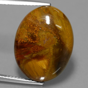 Piétersite multicolore naturelle coupe ovale, 12,64 ct, opaque