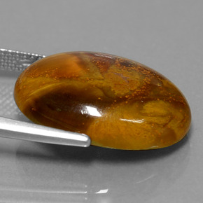 Piétersite multicolore naturelle coupe ovale, 12,64 ct, opaque