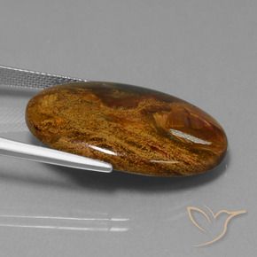 Pietersite Multicolore naturelle ovale, 23.40 ct, Opaque