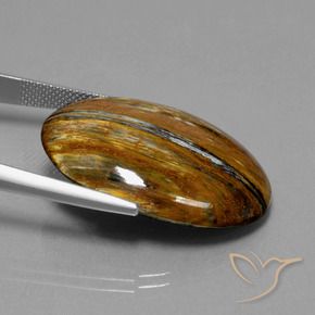 Pietersite Multicolore naturelle ovale, 26.40 ct, Opaque