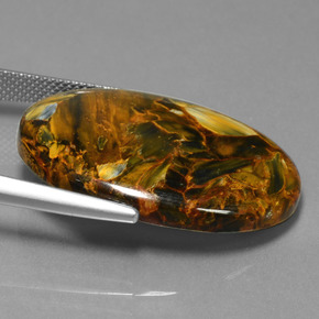 Piétersite multicolore naturelle coupe ovale, 25,72 ct, opaque
