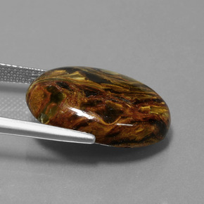 Piétersite multicolore naturelle coupe ovale, 12,81 ct, opaque