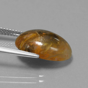 Pietersite Multicolore naturelle Coupe ovale, 6.69 ct, Opaque