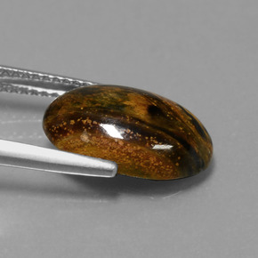 Pietersite Multicolore naturelle Coupe ovale, 3.99 ct, Opaque