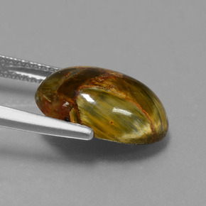 Piétersite multicolore naturelle coupe ovale, 4,48 ct, opaque
