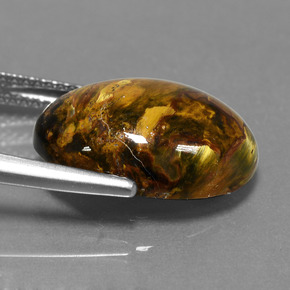 Pietersite Multicolore naturelle Coupe ovale, 7.62 ct, Opaque