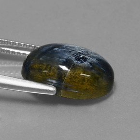 Piétersite multicolore naturelle coupe ovale, 5,27 ct, opaque