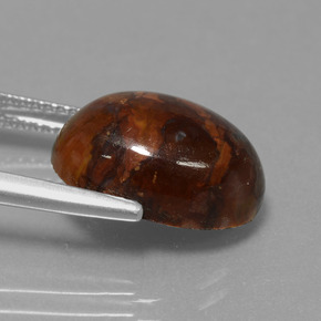 Pietersite Multicolore naturelle Coupe ovale, 6.18 ct, Opaque