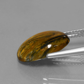 Pietersite Multicolore naturelle Coupe ovale, 3.89 ct, Opaque