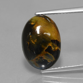 Piétersite multicolore naturelle coupe ovale, 4,99 ct, opaque