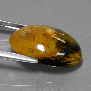 Piétersite multicolore naturelle coupe ovale, 5,93 ct, opaque