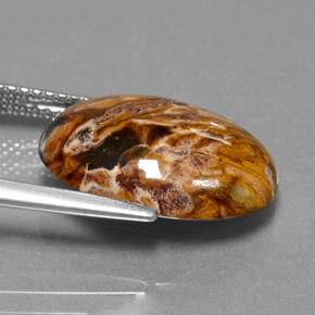 Pietersite Multicolore naturelle Coupe ovale, 6.54 ct, Opaque