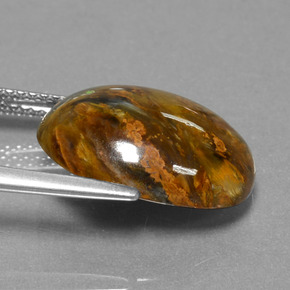 Piétersite multicolore naturelle coupe ovale, 7,10 ct, opaque