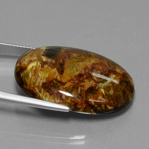 Pietersite Multicolore naturelle Coupe ovale, 37.98 ct, Opaque