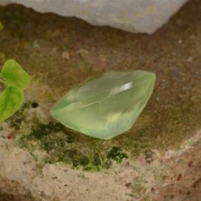 Préhnite vert naturelle coupe ovale, 10,07 ct, translucide