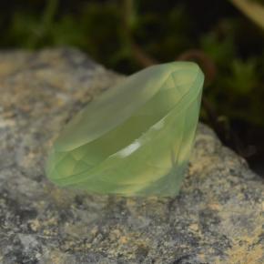 Préhnite vert naturelle coupe roude, 9,45 ct, translucide