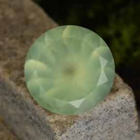 Préhnite vert naturelle coupe roude, 8,70 ct, translucide