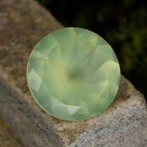 Préhnite vert naturelle coupe roude, 8,70 ct, translucide