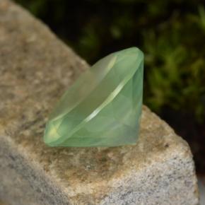 Préhnite vert naturelle coupe roude, 8,70 ct, translucide