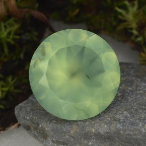 Préhnite vert naturelle coupe roude, 8,59 ct, translucide
