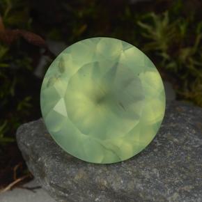 Préhnite vert naturelle coupe roude, 8,59 ct, translucide