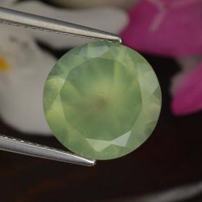 Préhnite vert naturelle coupe roude, 5,50 ct, translucide