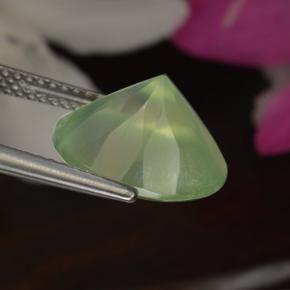 Préhnite vert naturelle coupe roude, 5,50 ct, translucide