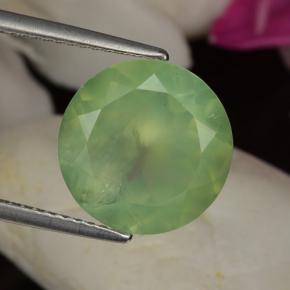 Préhnite vert naturelle coupe roude, 5,97 ct, translucide