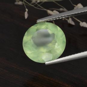 Préhnite vert naturelle coupe roude, 5,61 ct, translucide