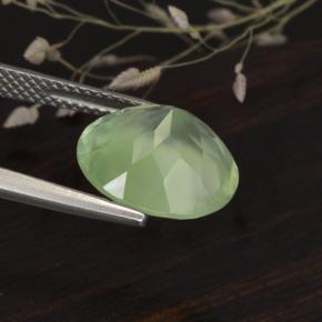 Préhnite vert naturelle coupe roude, 5,61 ct, translucide