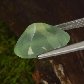 Préhnite vert naturelle coupe ovale, 6,16 ct, transparent