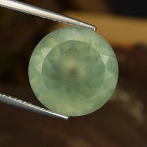 Préhnite vert naturelle coupe roude, 9,04 ct, translucide