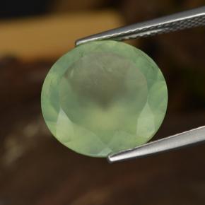 Préhnite vert naturelle coupe roude, 9,04 ct, translucide