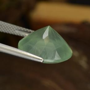 Préhnite vert naturelle coupe roude, 9,04 ct, translucide