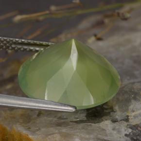 Préhnite vert naturelle coupe roude, 8,86 ct, translucide