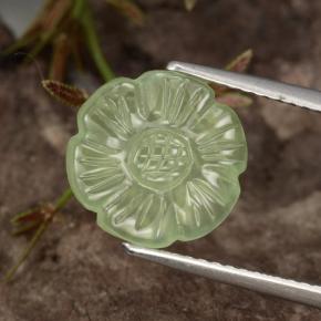 Préhnite vert naturelle taille fleur, 4,48 ct, translucide