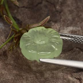 Préhnite vert naturelle taille fleur, 4,48 ct, translucide