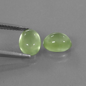 Achetez naturel ct vert préhnite gems, transparent, en provenance afrique du sud chez gemselect. en stock, livraison internationale!