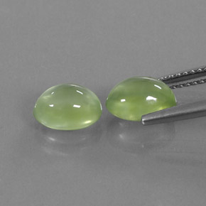 Achetez naturel ct vert préhnite gems, transparent, en provenance afrique du sud chez gemselect. en stock, livraison internationale!
