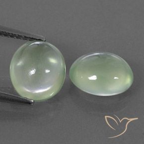 3.53ctw Naturel Pale Yellowish Green    Préhnite, ovale, Transparent / Translucide