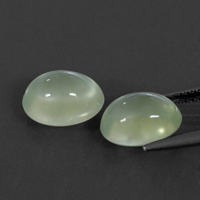 Achetez naturel ct vert préhnite gems, transparent, en provenance afrique du sud chez gemselect. en stock, livraison internationale!