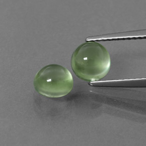 Achetez naturel ct vert préhnite gems, coupe roude, en provenance afrique du sud chez gemselect. en stock, livraison internationale!