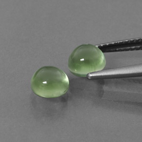 Achetez naturel ct vert préhnite gems, coupe roude, en provenance afrique du sud chez gemselect. en stock, livraison internationale!